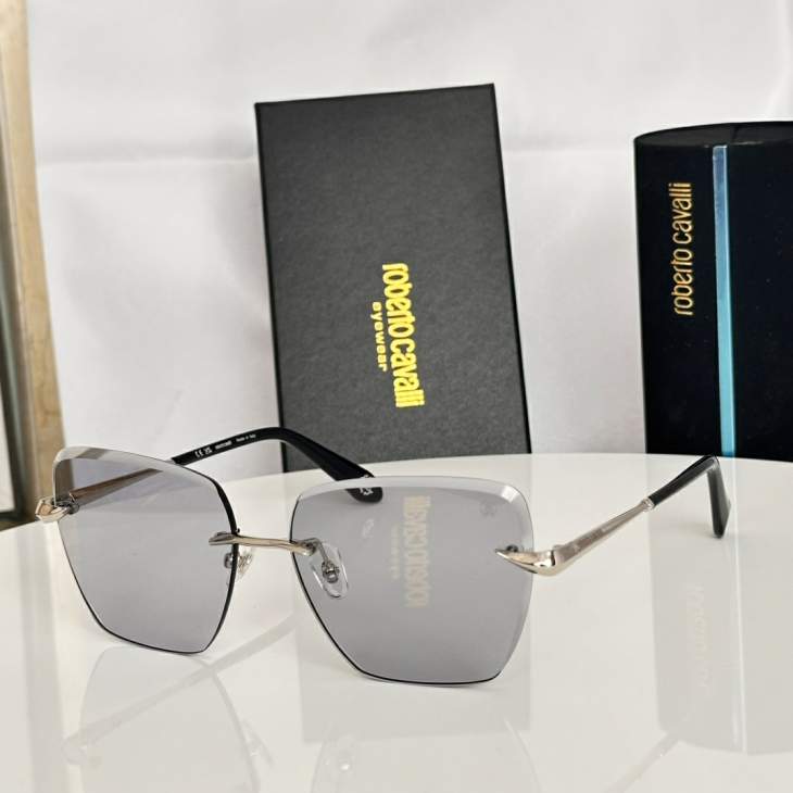 Picture of Roberto Cavalli Sunglasses _SKUfw79339293fw